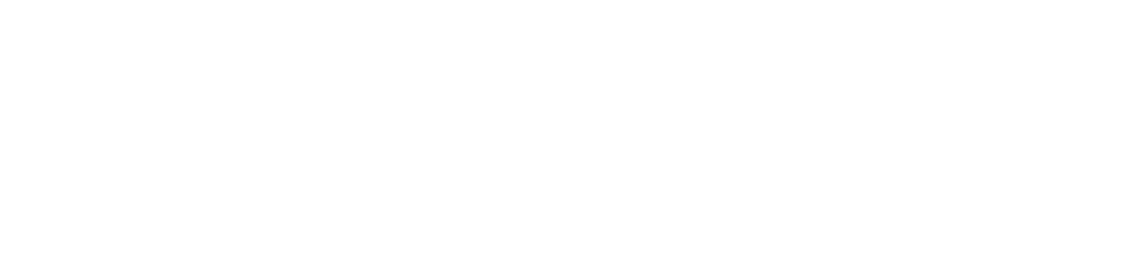 Bearberry Donut Co.